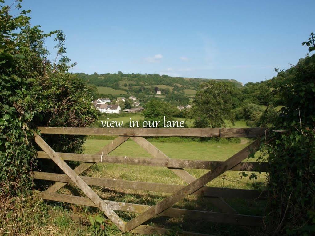 Stunning Countryside Views & Private Balcony! Cozy Room, 3 Miles To Lyme Regis - Free Parking & Wifi アクスミンスター エクステリア 写真