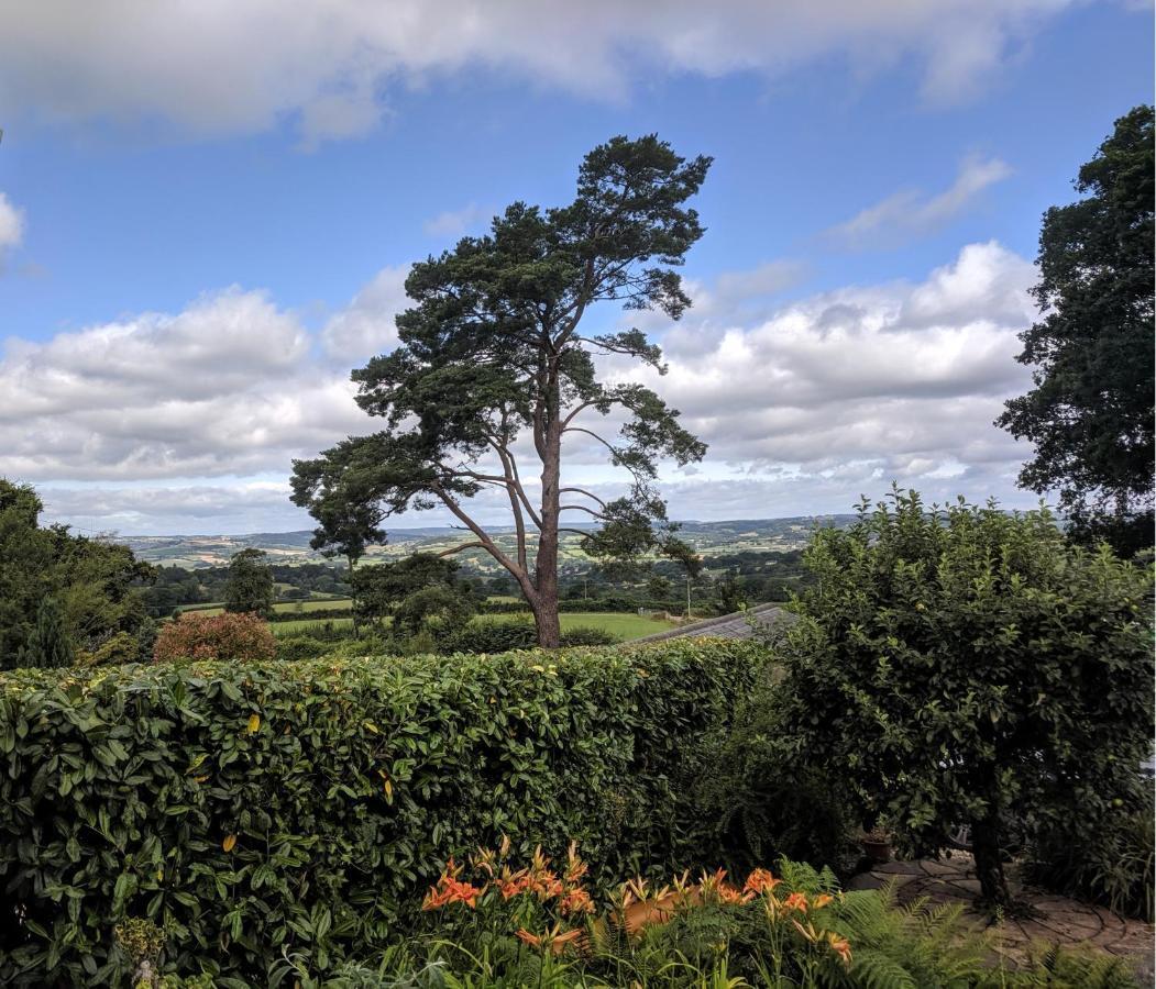 Stunning Countryside Views & Private Balcony! Cozy Room, 3 Miles To Lyme Regis - Free Parking & Wifi アクスミンスター エクステリア 写真